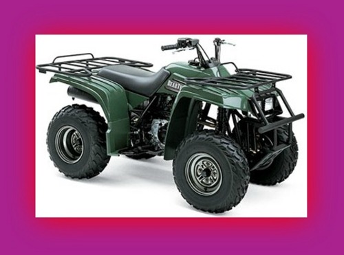 Product picture YAMAHA BEAR TRACKER YFM 250 REPAIR SERVICE MANUAL 