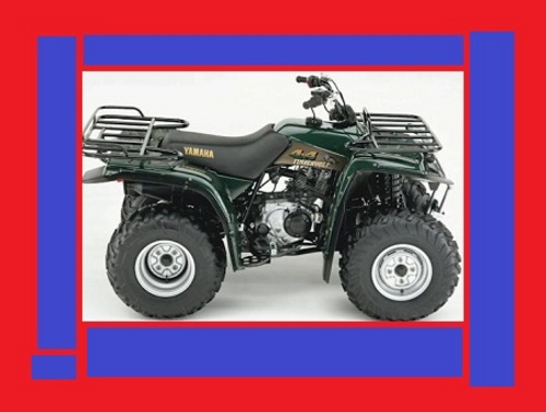 Product picture DOWNLOAD TIMBERWOLF 250 REPAIR SERVICE MANUAL 2 WD 4 WD